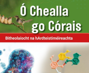 Ó Chealla go Córais