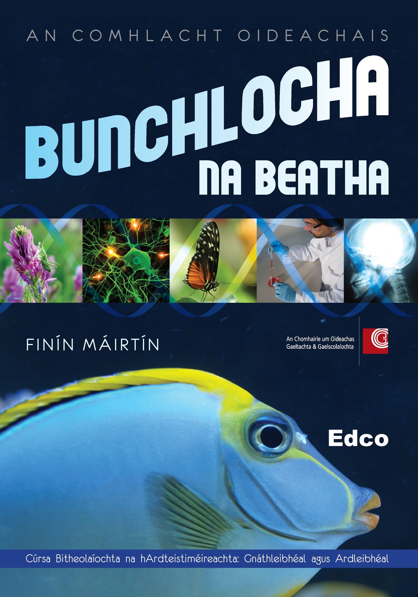 Bunchlocha na Beatha