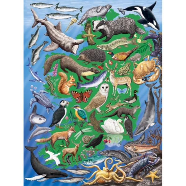 Wild Ireland Jigsaw Puzzle 1000pc