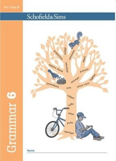 KS2 Grammar & Punctuation Book 6