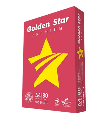 A4 Copier Paper 500 Sheet 80gsm