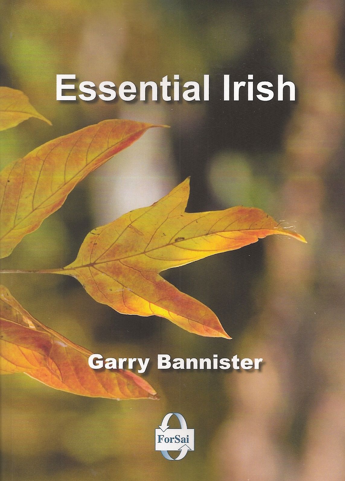 Essential Irish NOW €3