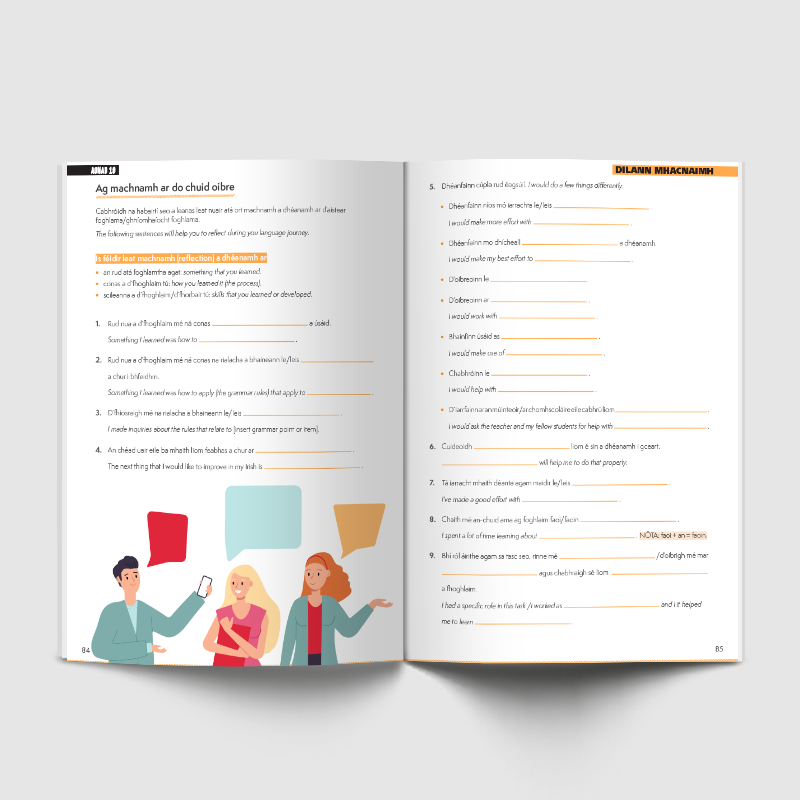 Junior Cycle Success Irish Higher Level