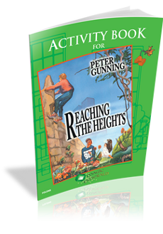 Reaching The Heights Activity Book