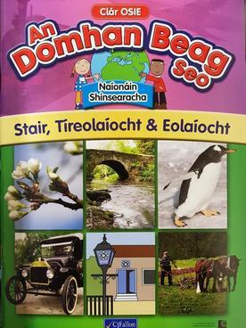 An Domhan Beag Seo Senior Infants