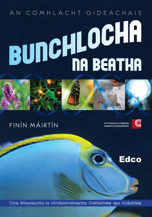 Bunchlocha na Beatha