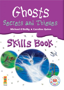Ghosts, Secrets And Thieves Skills Book 6th Class