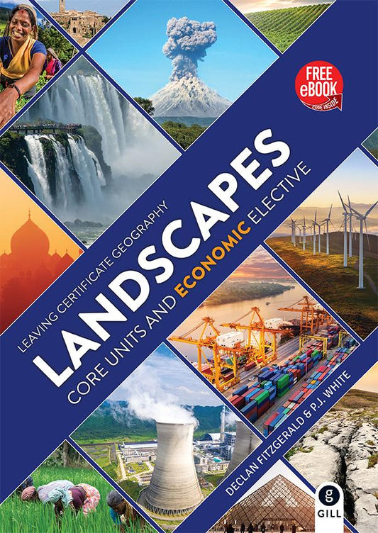 Landscapes with Economic Elective
