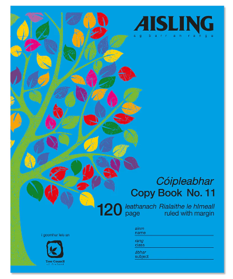 Copy A11 120 Page Aisling ASX7