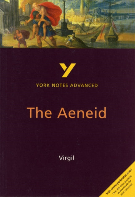 The Aeneid York Notes Advanced NOW €3