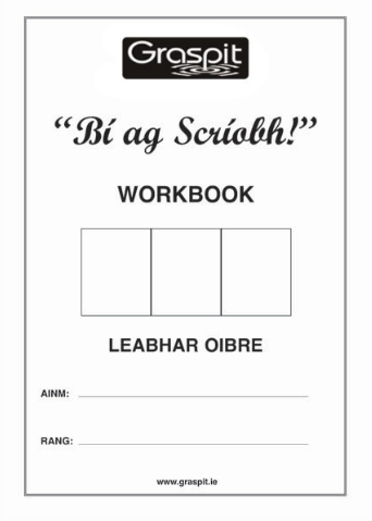 Bi ag Scriobh! Workbook