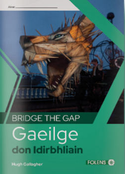 Bridge the Gap Gaeilge