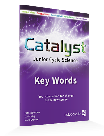 Catalyst Key Words