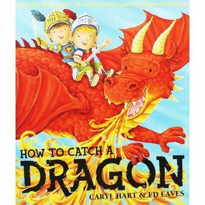 How to Catch a Dragon (was €7.95 Now €3.50)
