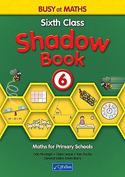 Busy At Maths 6 Shadow Book OLD edition