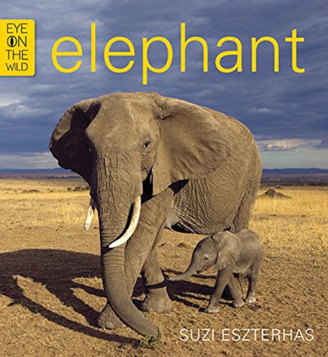Elephant (Was €9.95 Now €3.50)