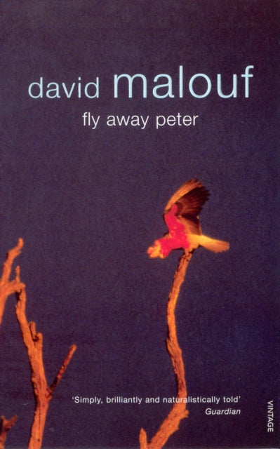 Flyaway Peter WAS €11, NOW €5.50