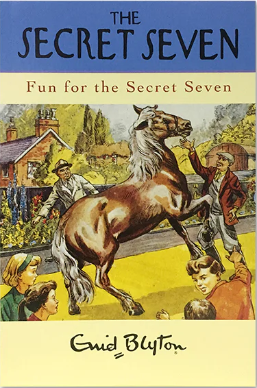 Fun for the Secret Seven