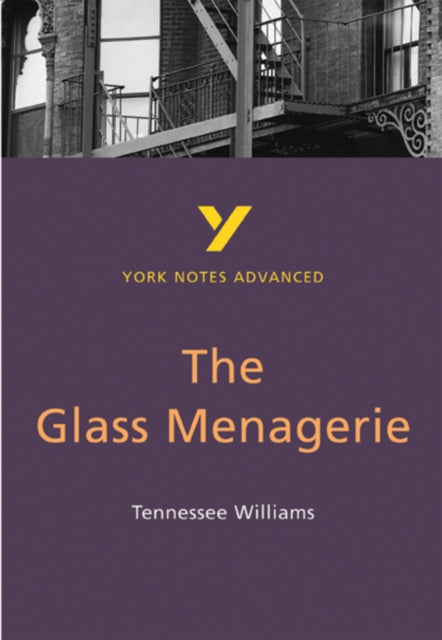 The Glass Menagerie York Notes Advanced NOW €5