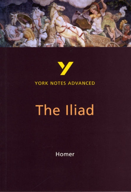 The Iliad York Notes Advanced NOW €3