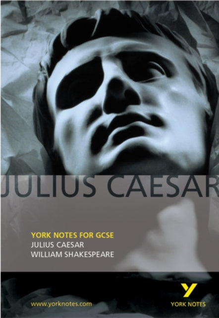 Julius Caesar York Notes NOW €4