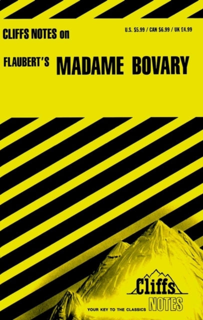 Madame Bovary Cliffs Notes NOW €3