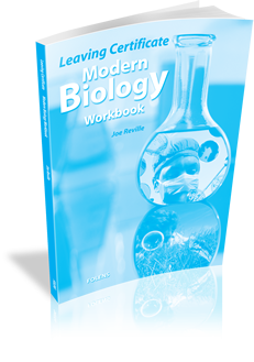 Modern Biology Workbook NOW €2