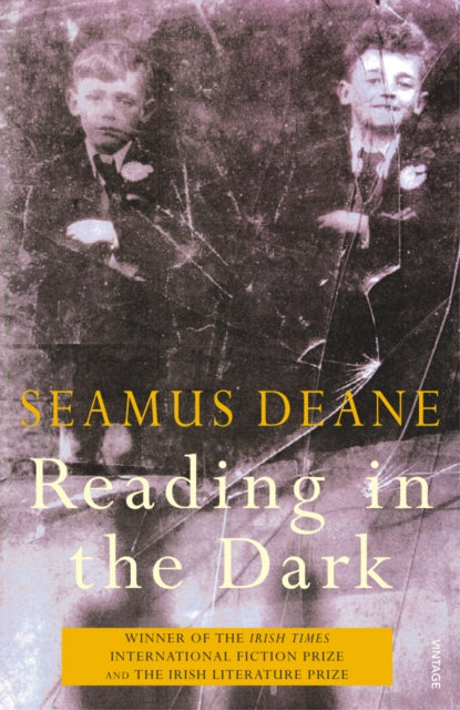 Reading in the Dark WAS €11, NOW €4.50