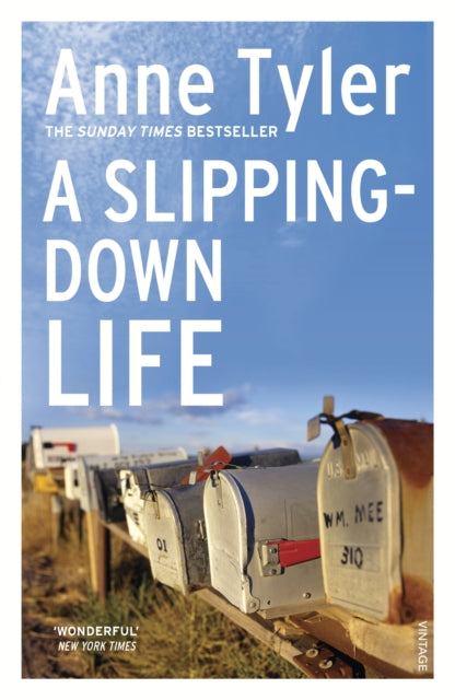 A Slipping-down Life WAS €11, NOW €4.50