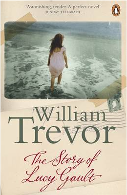 The Story of Lucy Gault WAS €11, NOW €5.50