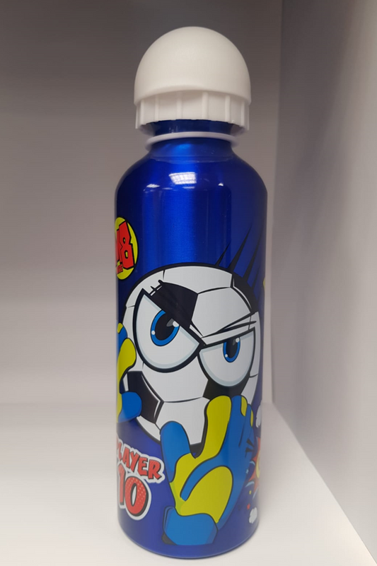 Water Bottle Stainless Steel 500ml Blue