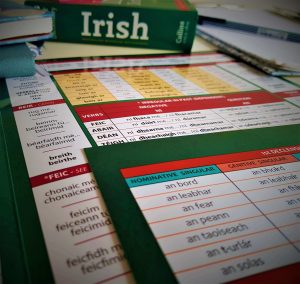 Yuri's Study Card Irish General Grammar Part 2